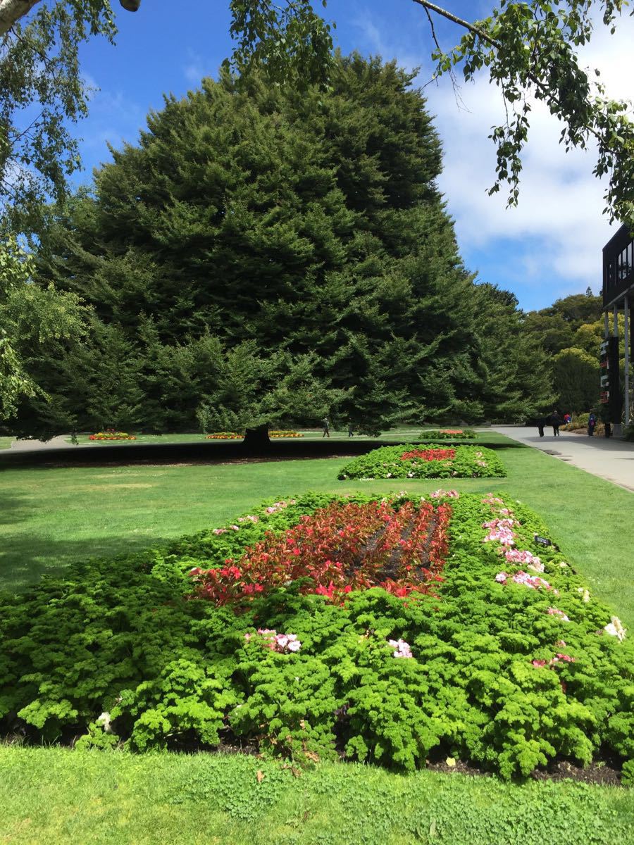 游览新西兰基督城植物园