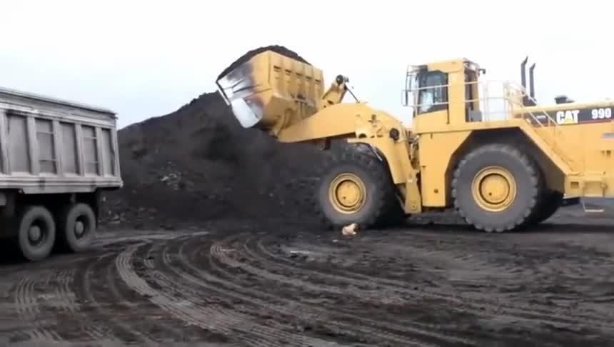 卡特大型装载机超大铲斗两铲装满一车煤干活效率杠杠滴