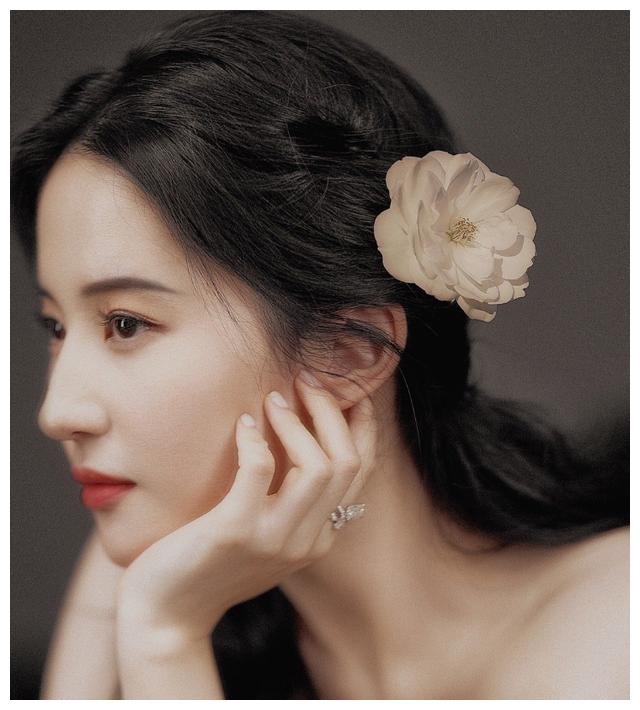 刘亦菲一组侧脸照曝光侧面五官弧度优越想在鼻梁上滑滑梯