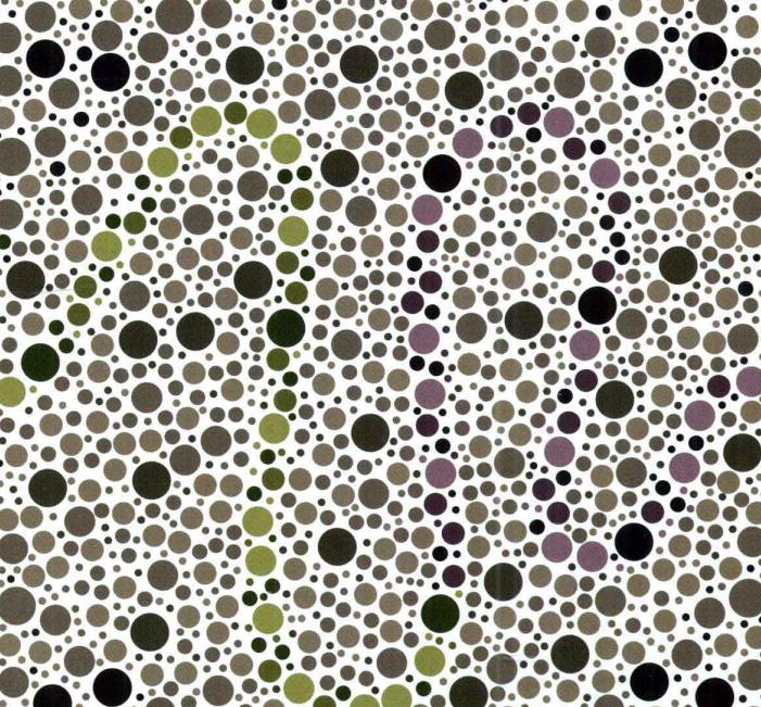 告诉你个秘密你的好友可能是色弱不信可以用这几张图测试