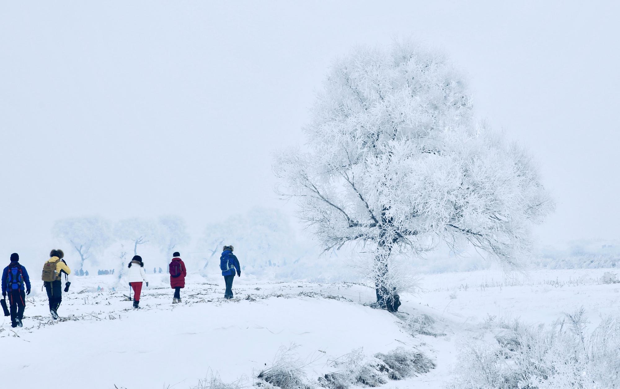 吉林雾凇岛,冰雪仙境,洁白晶莹的树挂令你如痴如醉!__财经头条