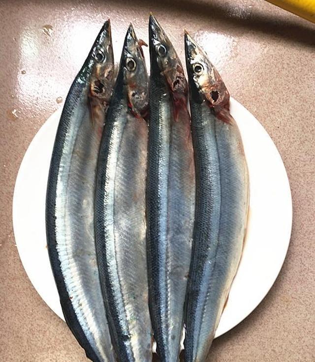 秋刀鱼|鱼|黑豆豉_新浪新闻
