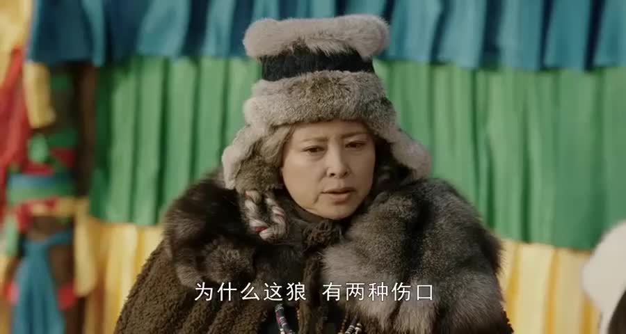 奶奶询问弟弟,狼在身上的伤痕是怎么做到的,两处箭伤和两处刀伤