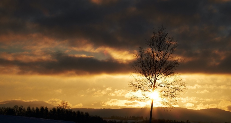 卖建材、酒水和新能源车,这些家电渠道商并不是生活艰难-家电圈官网