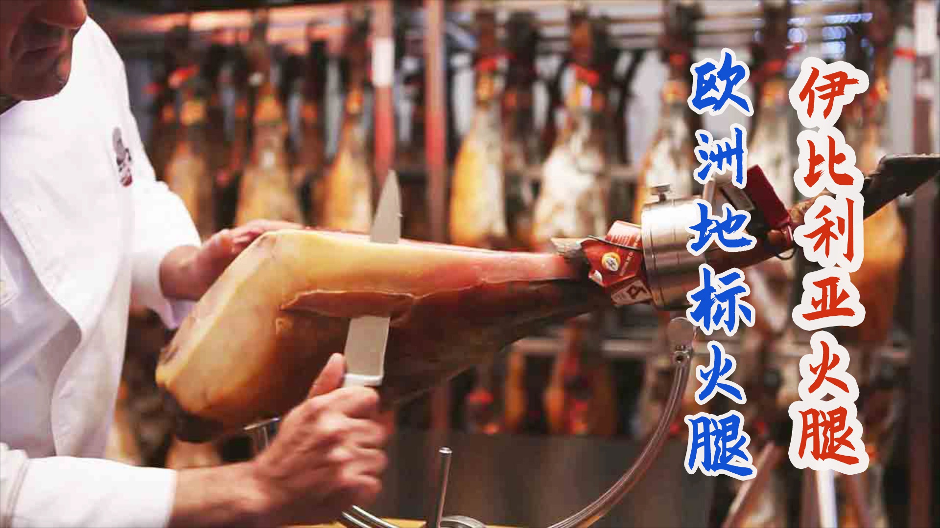 欧洲地标火腿:西班牙伊比利亚火腿!