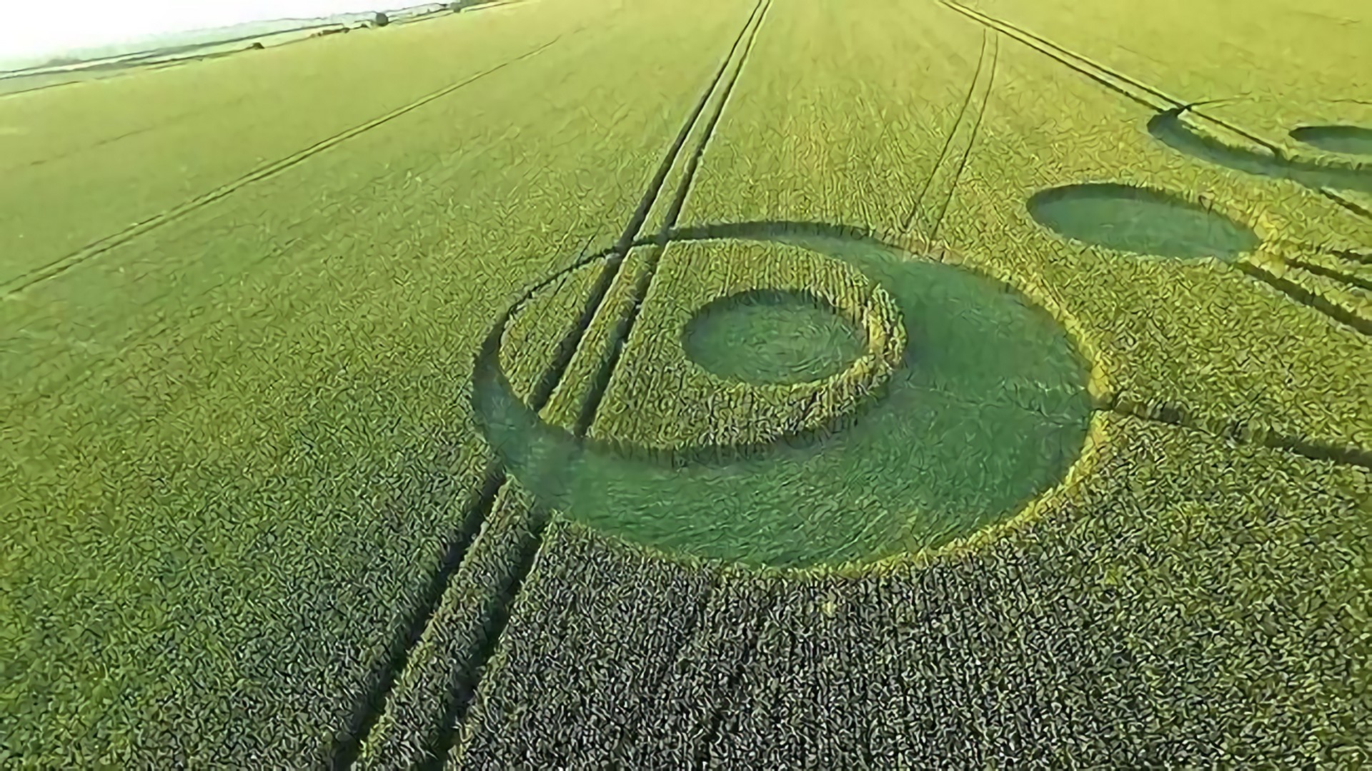 神秘的麦田怪圈是人类恶作剧还是外星人的标记