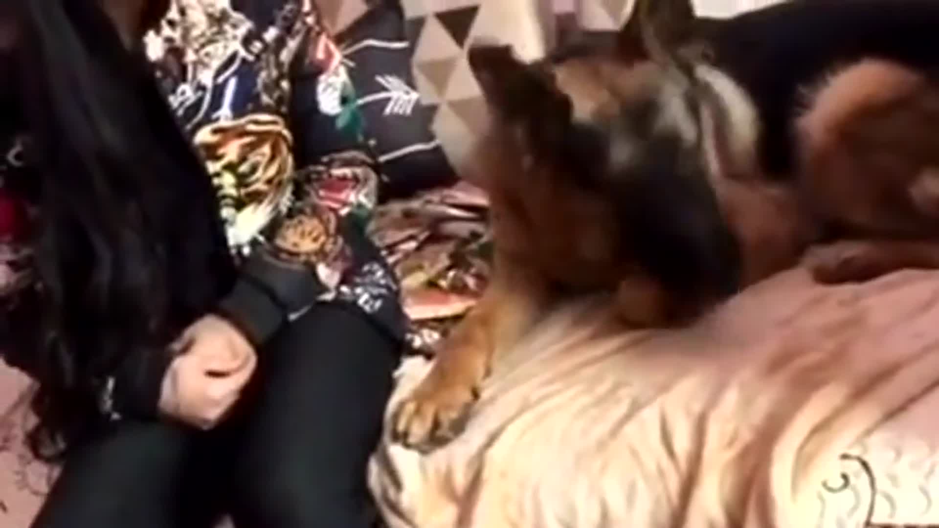 女主人训话<a href=