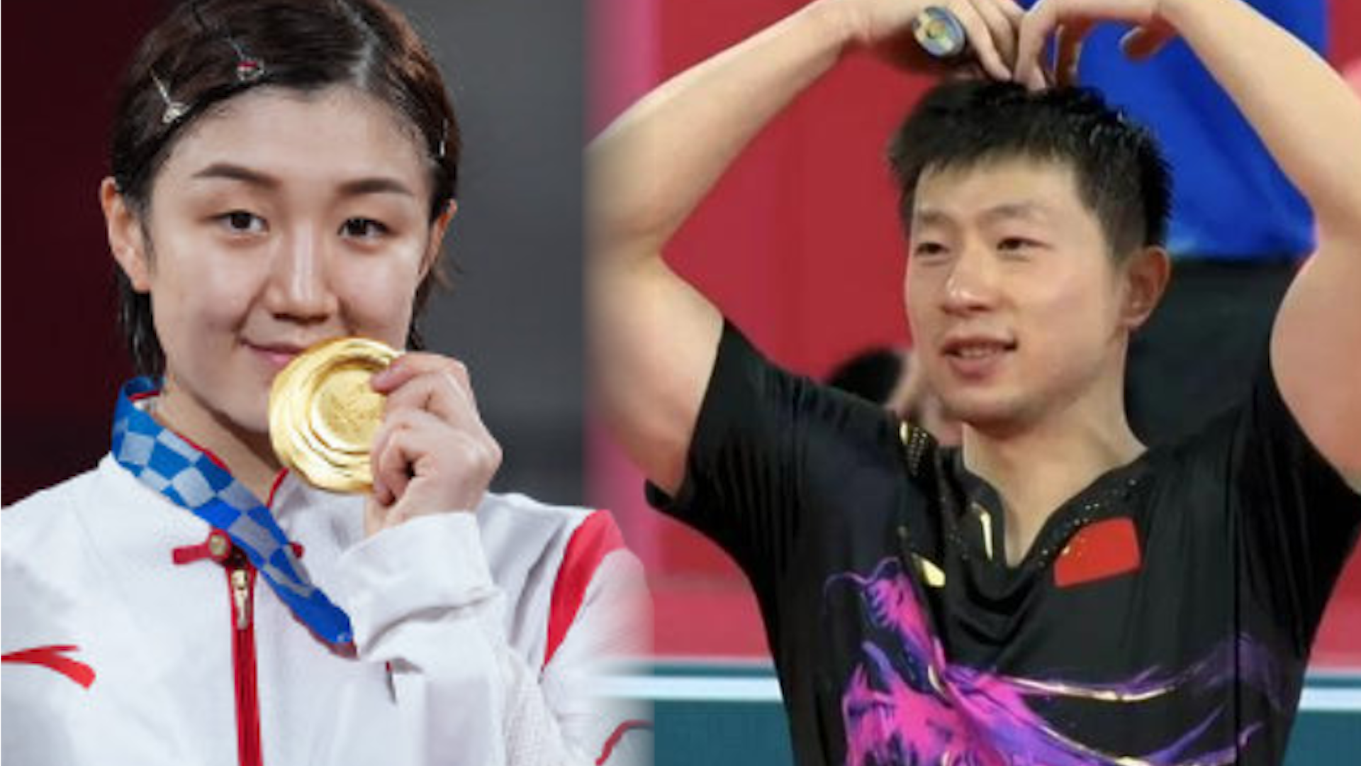 揭秘马龙樊振东陈梦吼到震天:troy