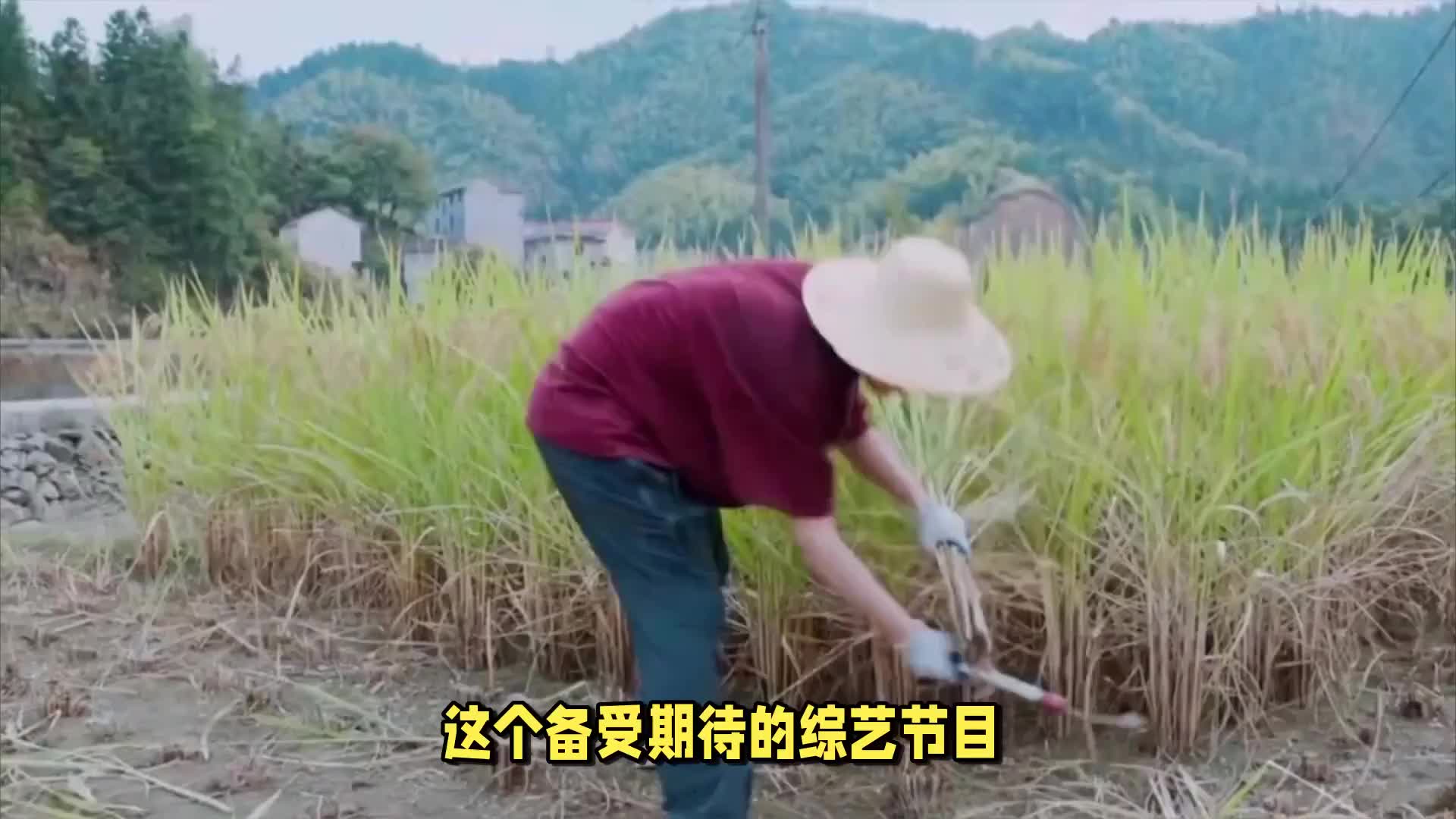 《种地吧2》多个项目同期启动，勤奋天下的力量不容小觑