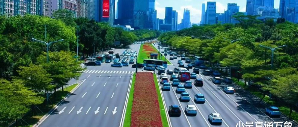 深圳最美的大马路,深南大道的风光无限好,绿化高楼相当不错__财经头条