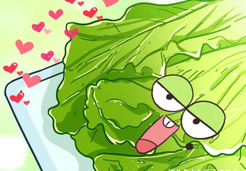 生菜可以吃居然是因为有毒