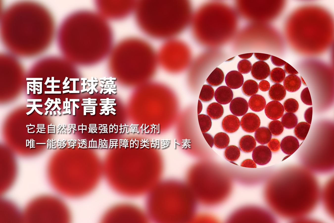 3a74-974ca5049ff8dbeea031c04d9709eb1a.jpg