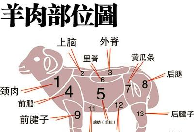羊身上这个部分最好吃很多人不好意思买摊主来买的都是吃货