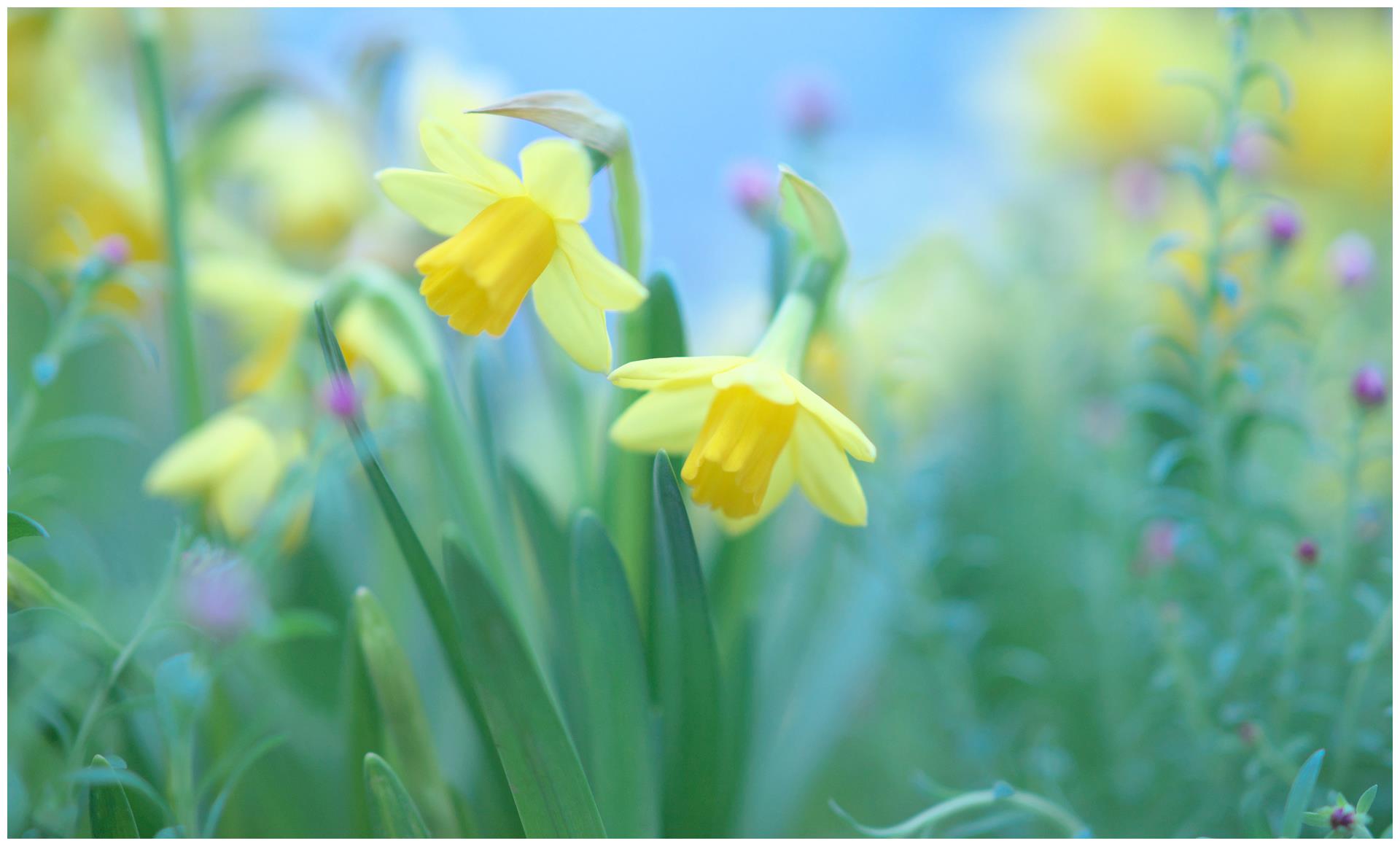4月,鸿运当头,吉星高照,桃花爆棚,福星降临,喜获爱情上上签