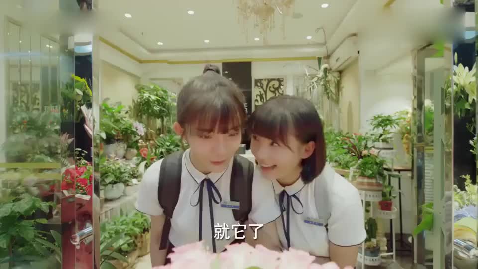 《都很甜》星辰给陆一白准备生日惊喜和花店老板一顿软磨硬泡_新浪新闻