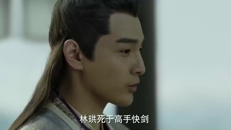 庆余年:太子不分青红皂白,就冤枉二皇子杀了林珙,简直不可理喻