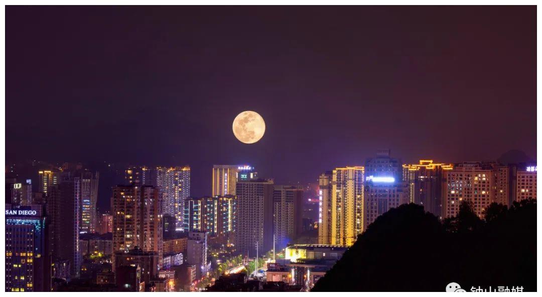 镜头里的钟山|月是故乡明