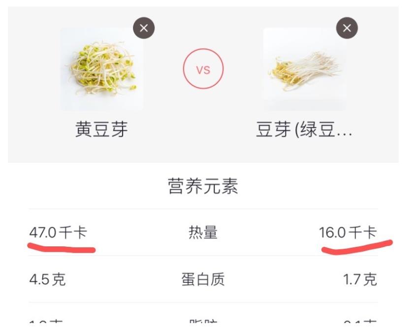 黄豆芽和绿豆芽营养成分对比图三,适合的烹饪方式不同绿豆芽炒面绿豆