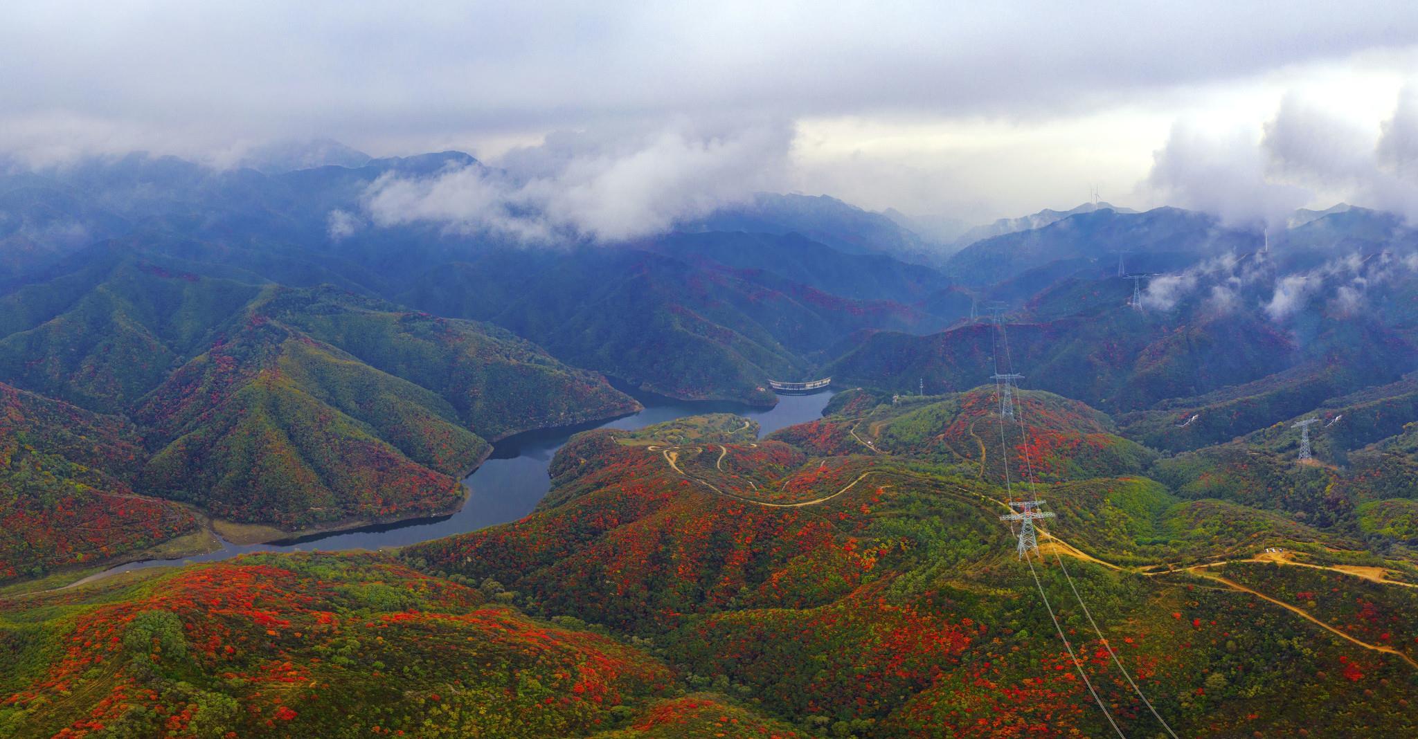山西平陆县大河庙层林尽染秋季风景美如画