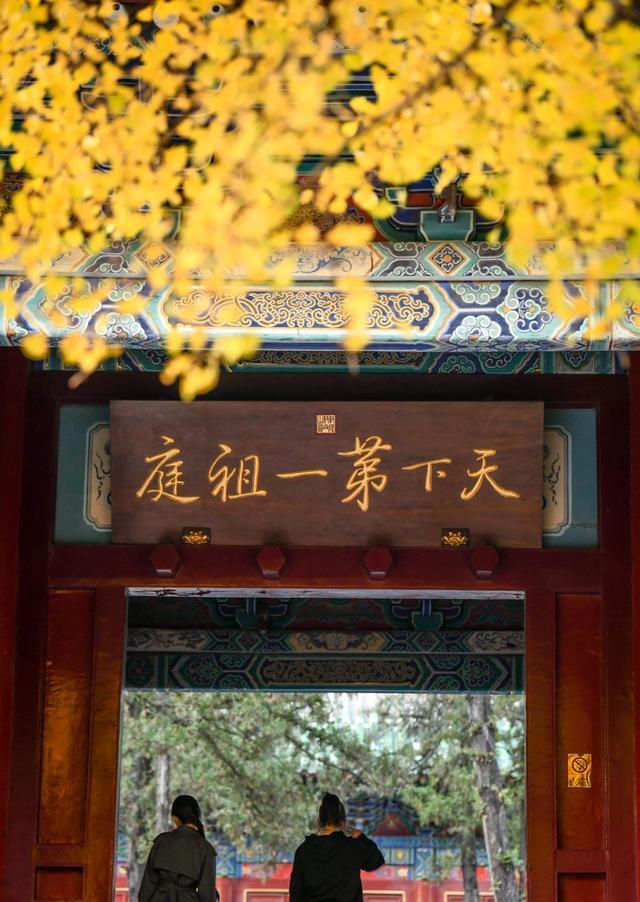 金黄的银杏树和天下第一祖庭的牌匾同框.银杏树下的美景.