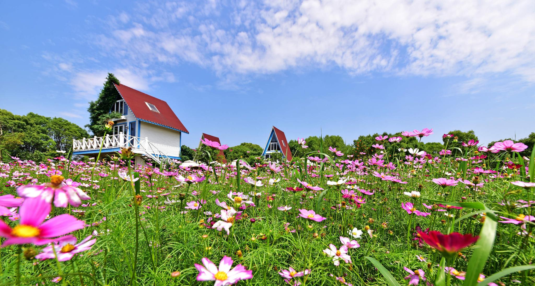 溢盛农庄初夏美景江苏省无锡市锡山区锡北镇新明村