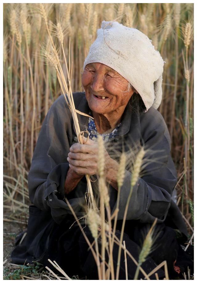 周口百岁老奶奶铁铲锵麦子,刨地耕种全凭一人,独立劳作