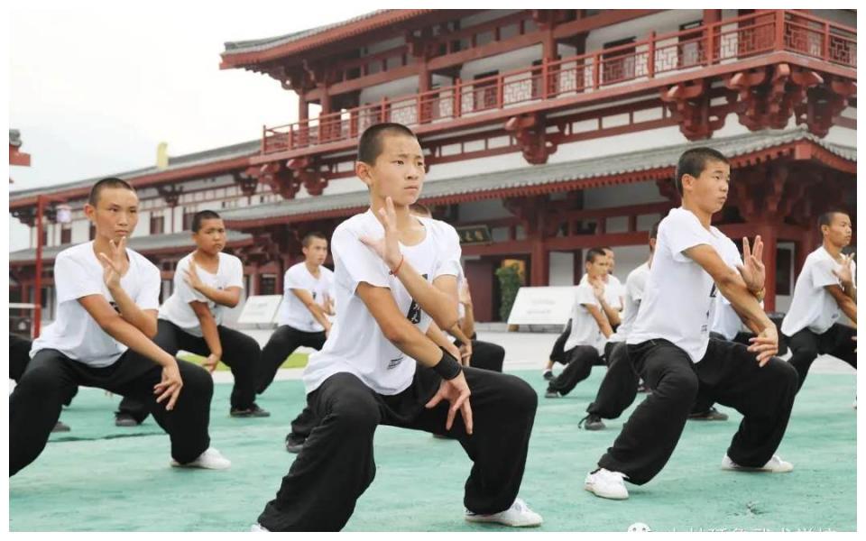 与武术同行,和健康作伴