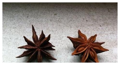 菜市场一种"假八角",含有剧毒,希望你家厨房没有出现