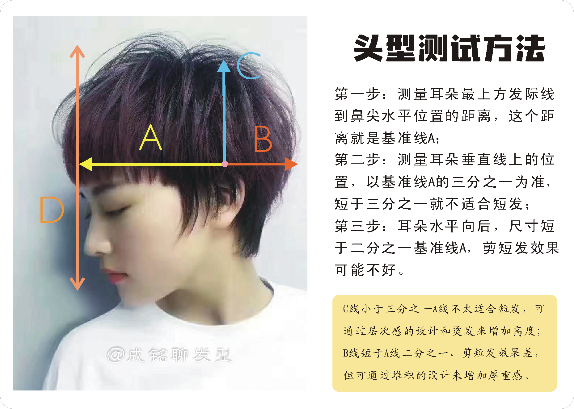 看这三点你就明白了|短发|孙俪|发型_新浪新闻