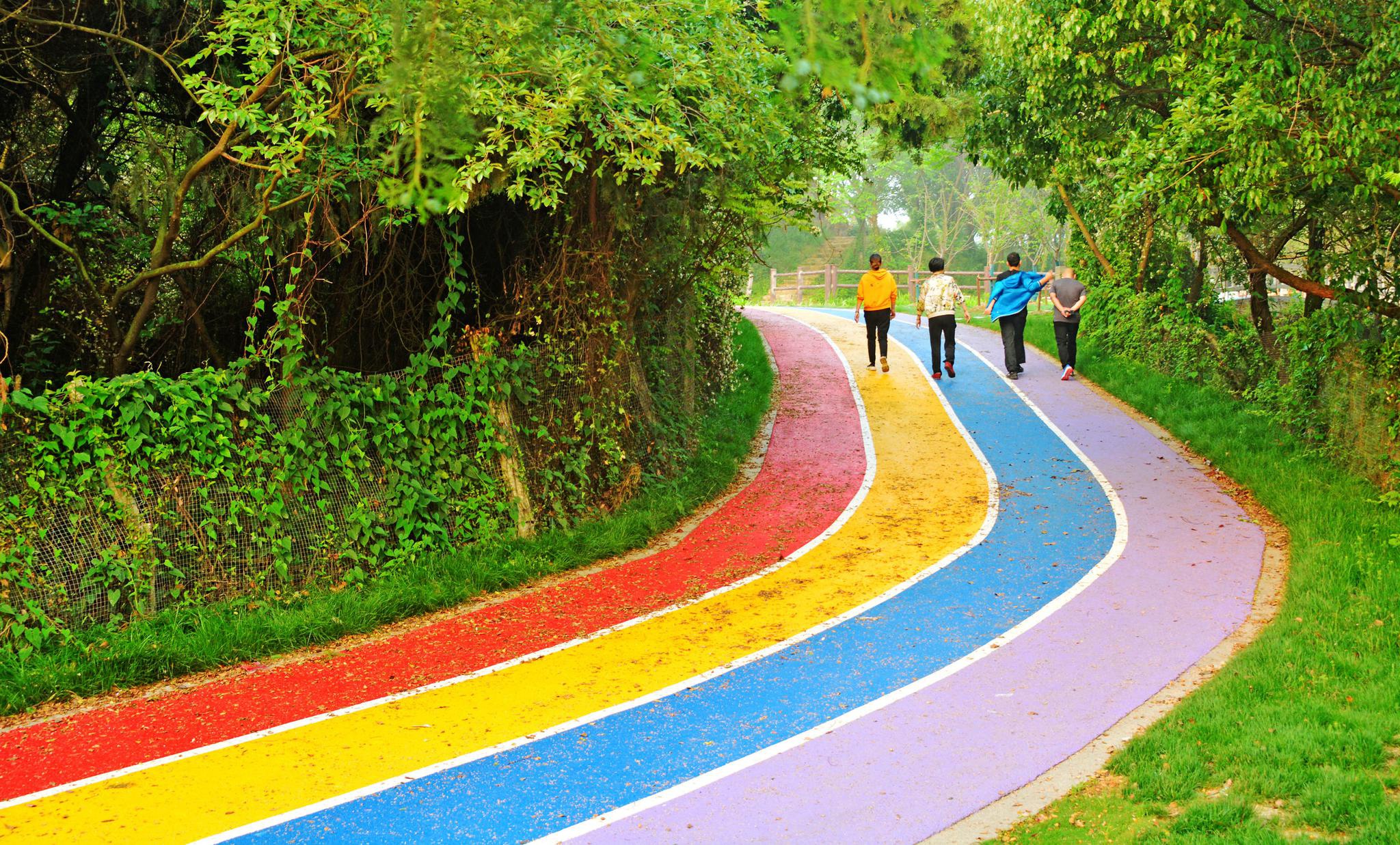 蟠龙山彩虹步道图片