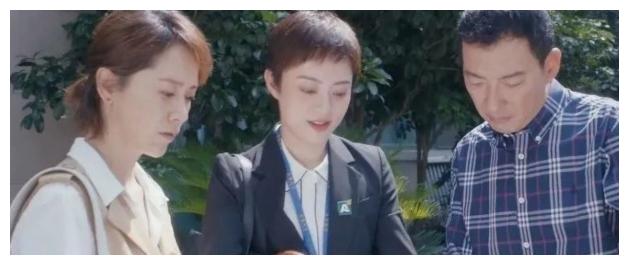 《安家》放在现实里，房似锦“诗和远方”式卖房，你会掏腰包吗？