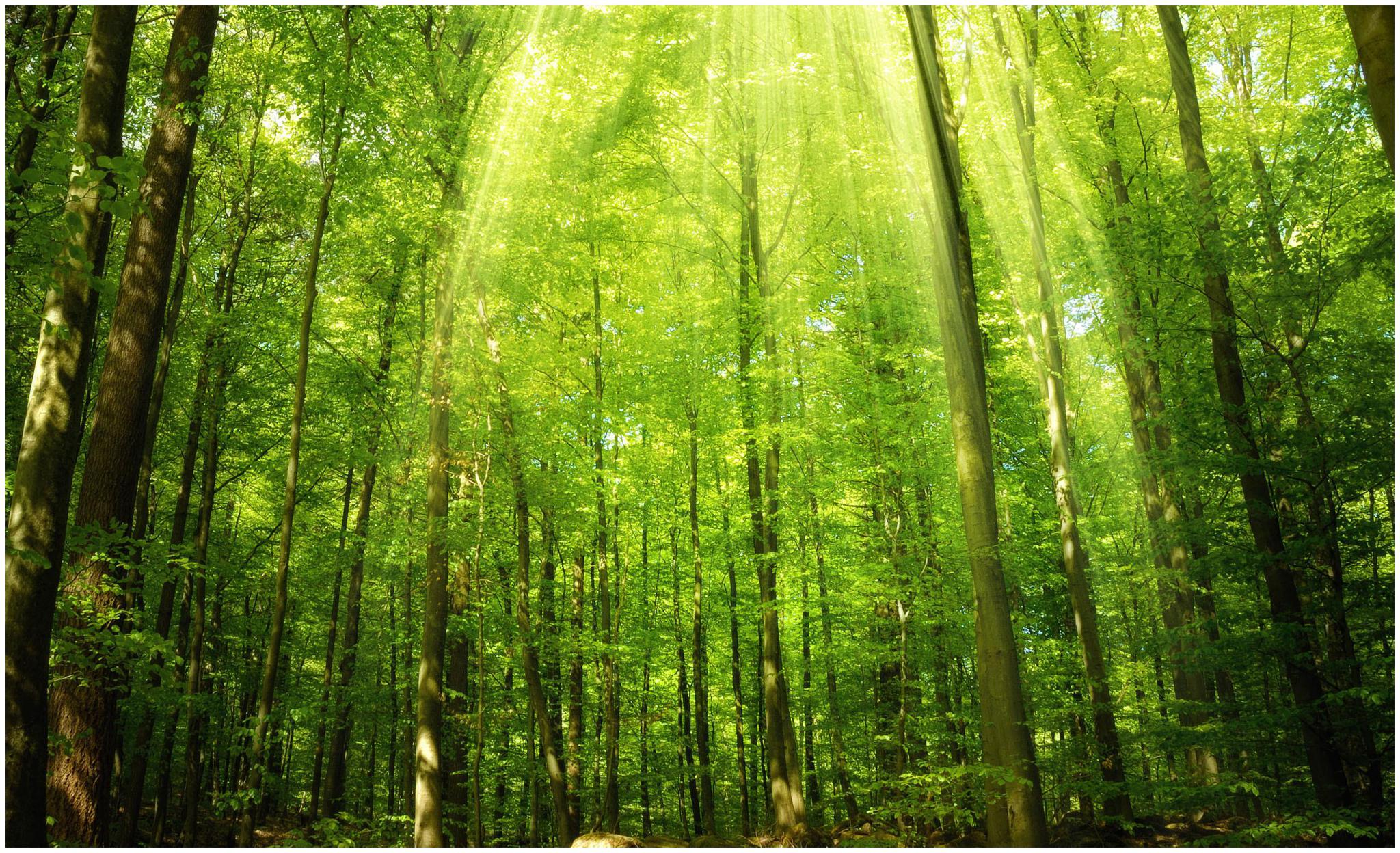 双子座狮子座天秤座摩羯座2021年运势事事顺利生活安逸