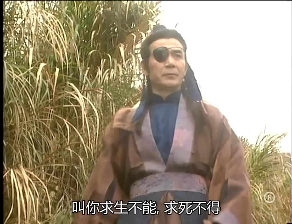 神雕公孙止离开绝情谷路上碰见耶律两兄妹与完颜萍