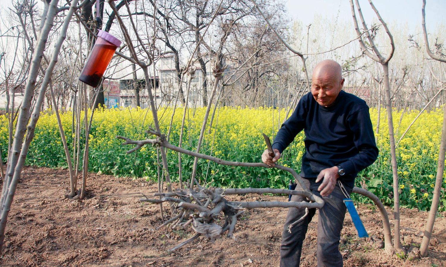 15张农具老照片，带你回顾中国传统农业用具，你认识几个？(上)