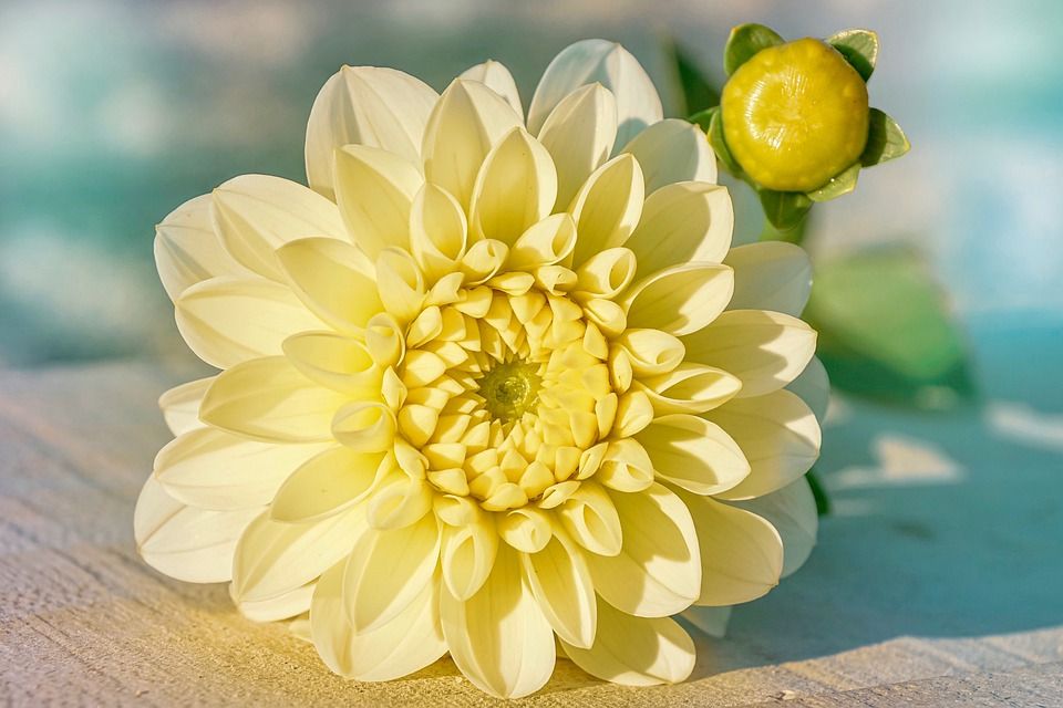 其实,女人这样的默许,就是在答应你的追求休闲区蓝鸢梦想 - Www.slyday.coM 其实,女人这样的默许,就是在答应你的追求休闲区蓝鸢梦想 - Www.slyday.coM