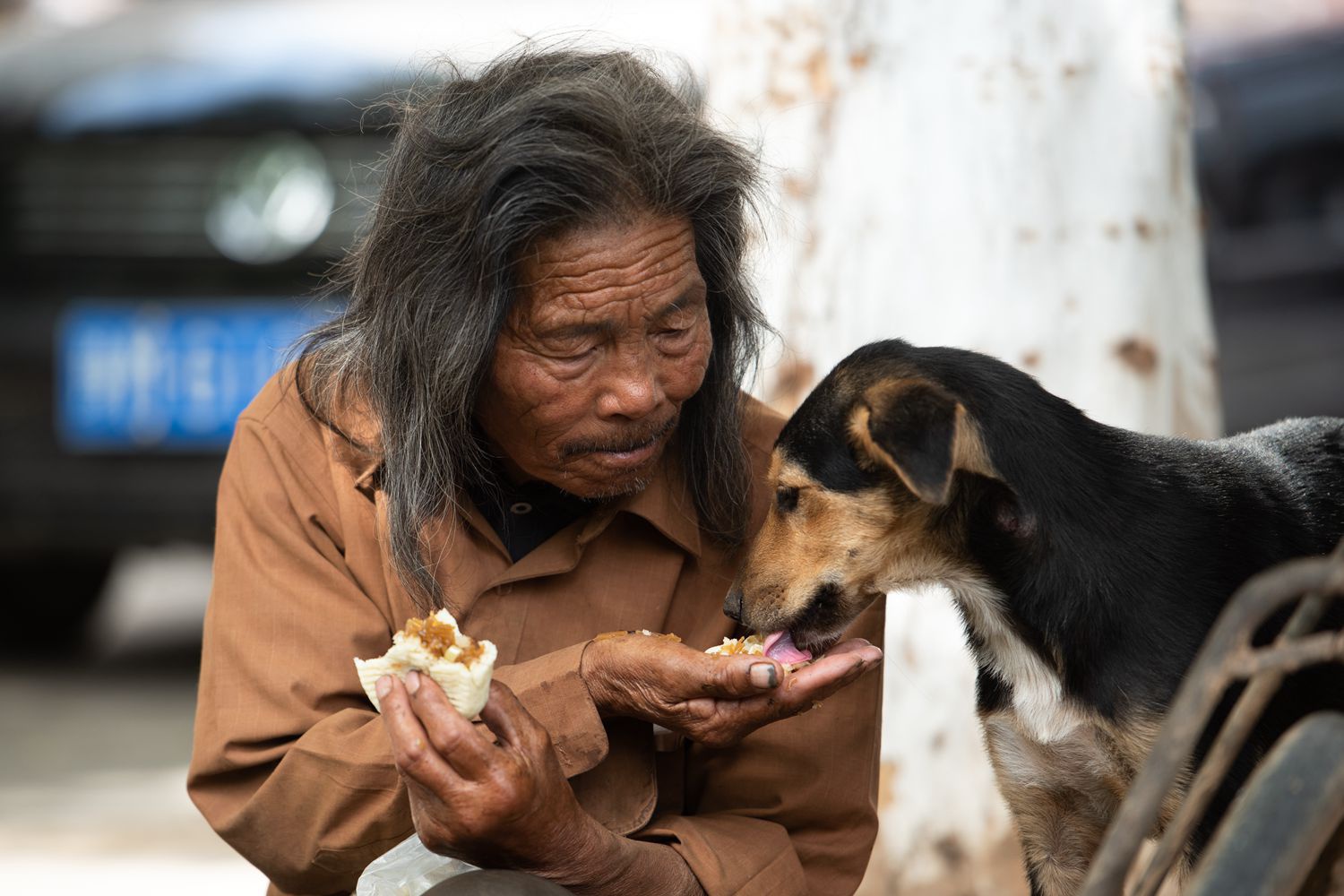8旬老人拾荒30年,12只狗狗相伴,看他生活成啥样