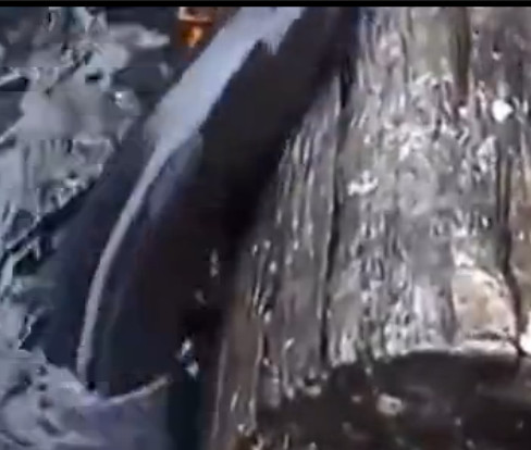 男子河边喂鱼遭“怪鱼”抢食，孰料竟引来如此可怕生物休闲区蓝鸢梦想 - Www.slyday.coM