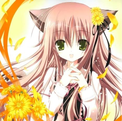 十二星座专属猫耳朵美少女,射手座调皮可爱,天蝎座很是撩人!