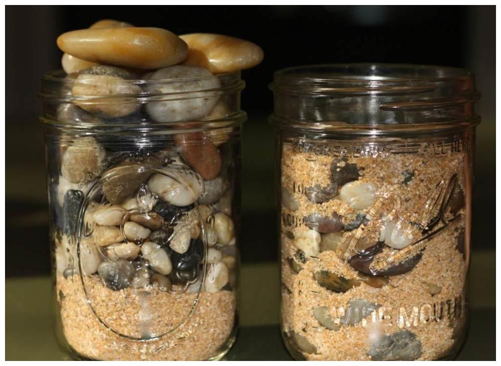 如果一天是个瓶子,那你的注意力可以分为石头,沙子与水