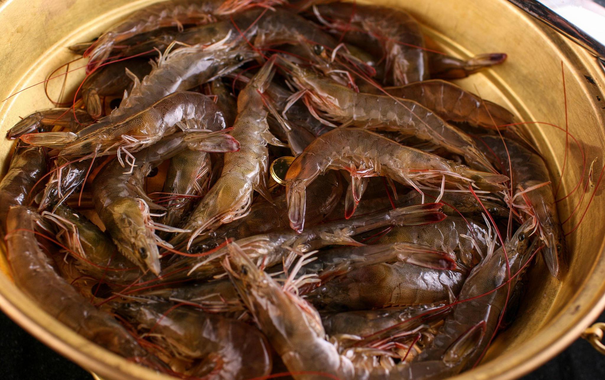 水煮虾到底冷水还是热水煮这一步很多人做错难怪虾肉老又柴