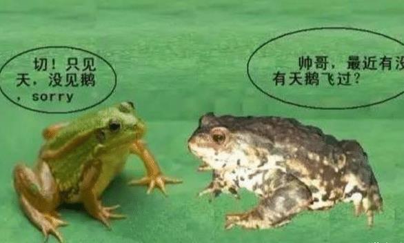 癞蛤蟆草的功效与服用方法 咽喉肿痛怎么用癞蛤蟆草最好