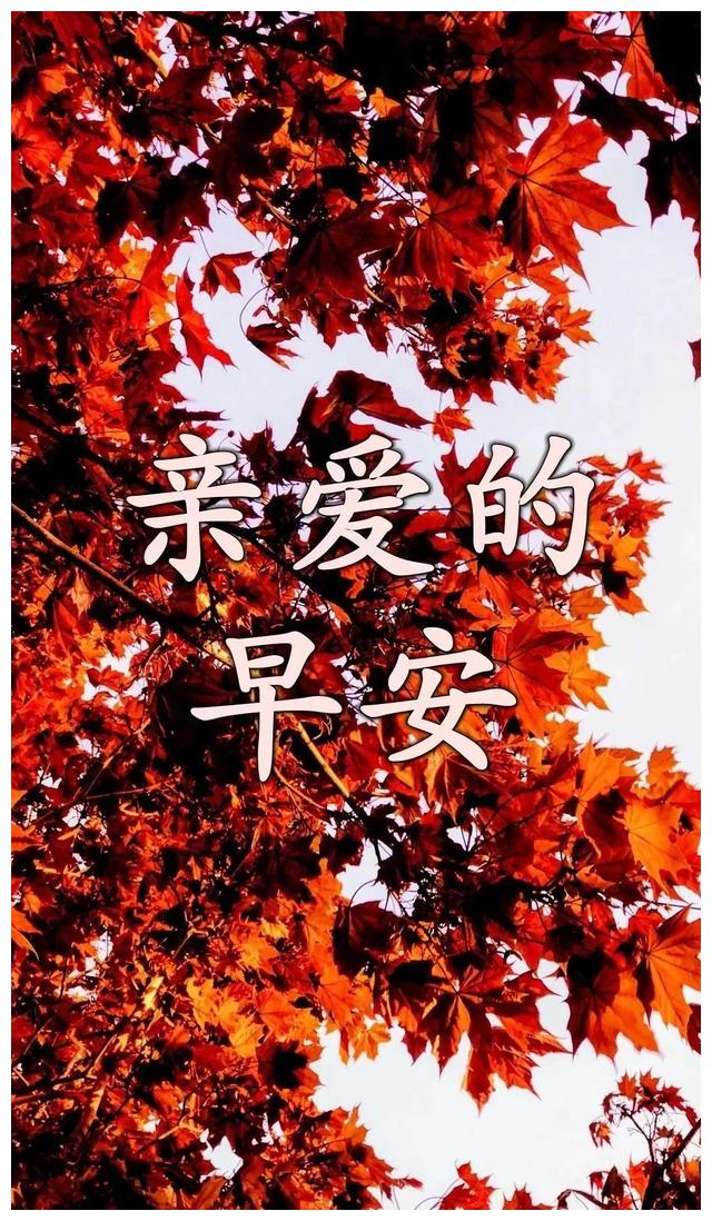 人的一生,岂能尽如人意,但求无愧我心,早安