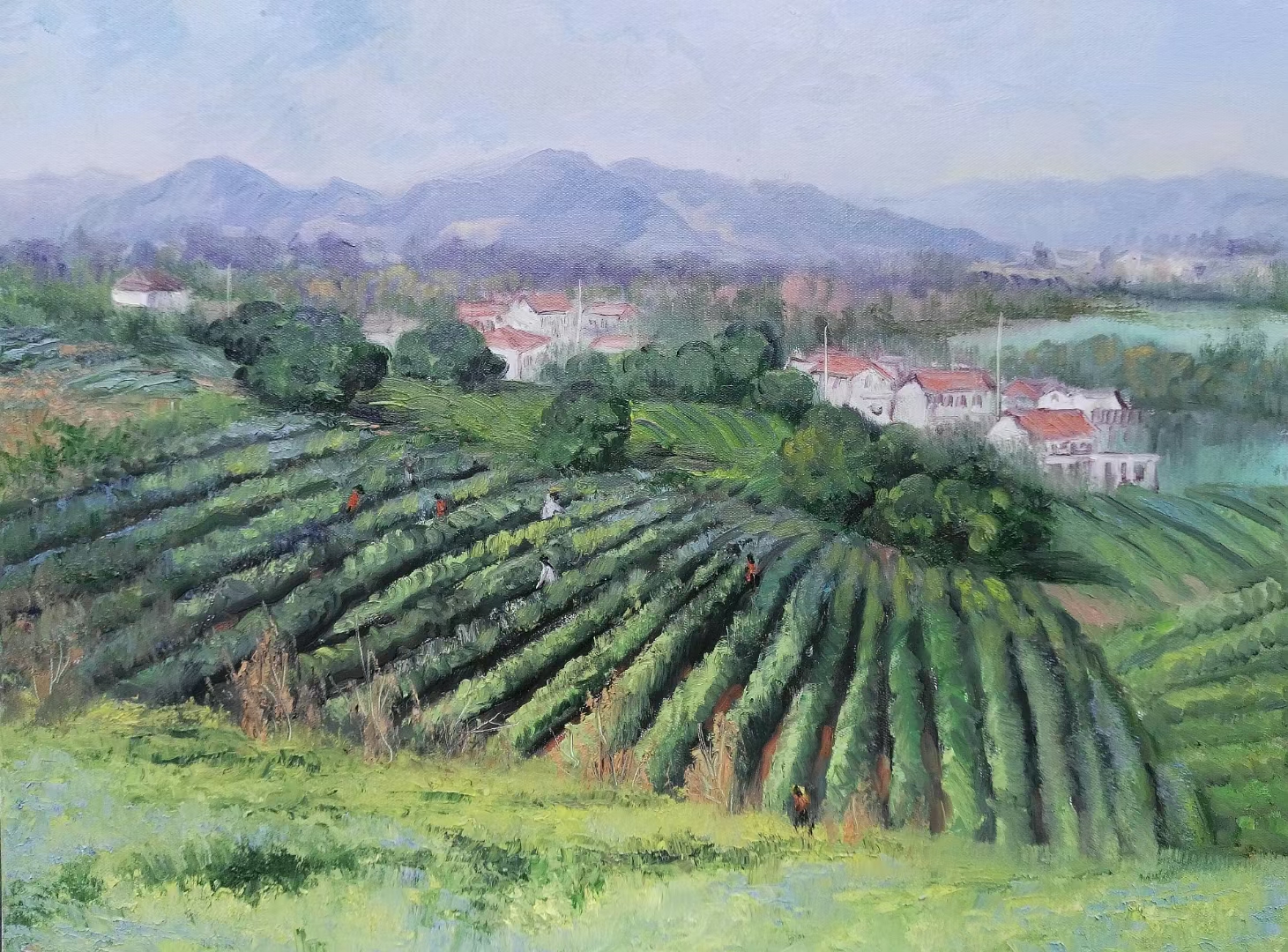 明前茶"春茶"采摘刘旭春先生油画写生欣赏