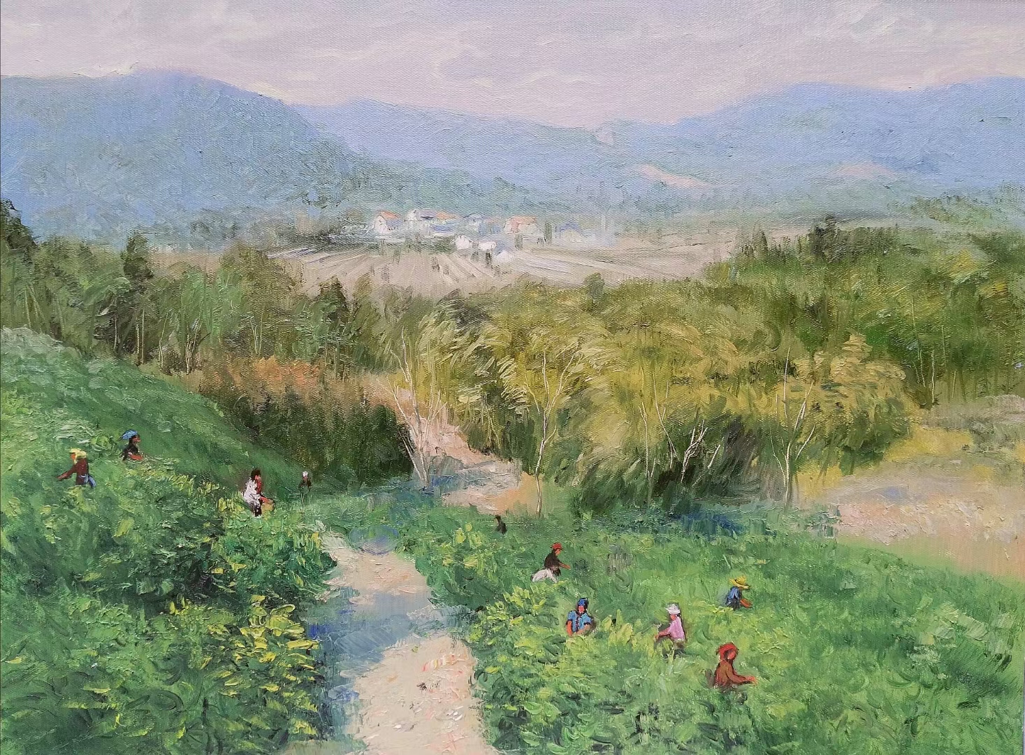 明前茶"春茶"采摘刘旭春先生油画写生欣赏