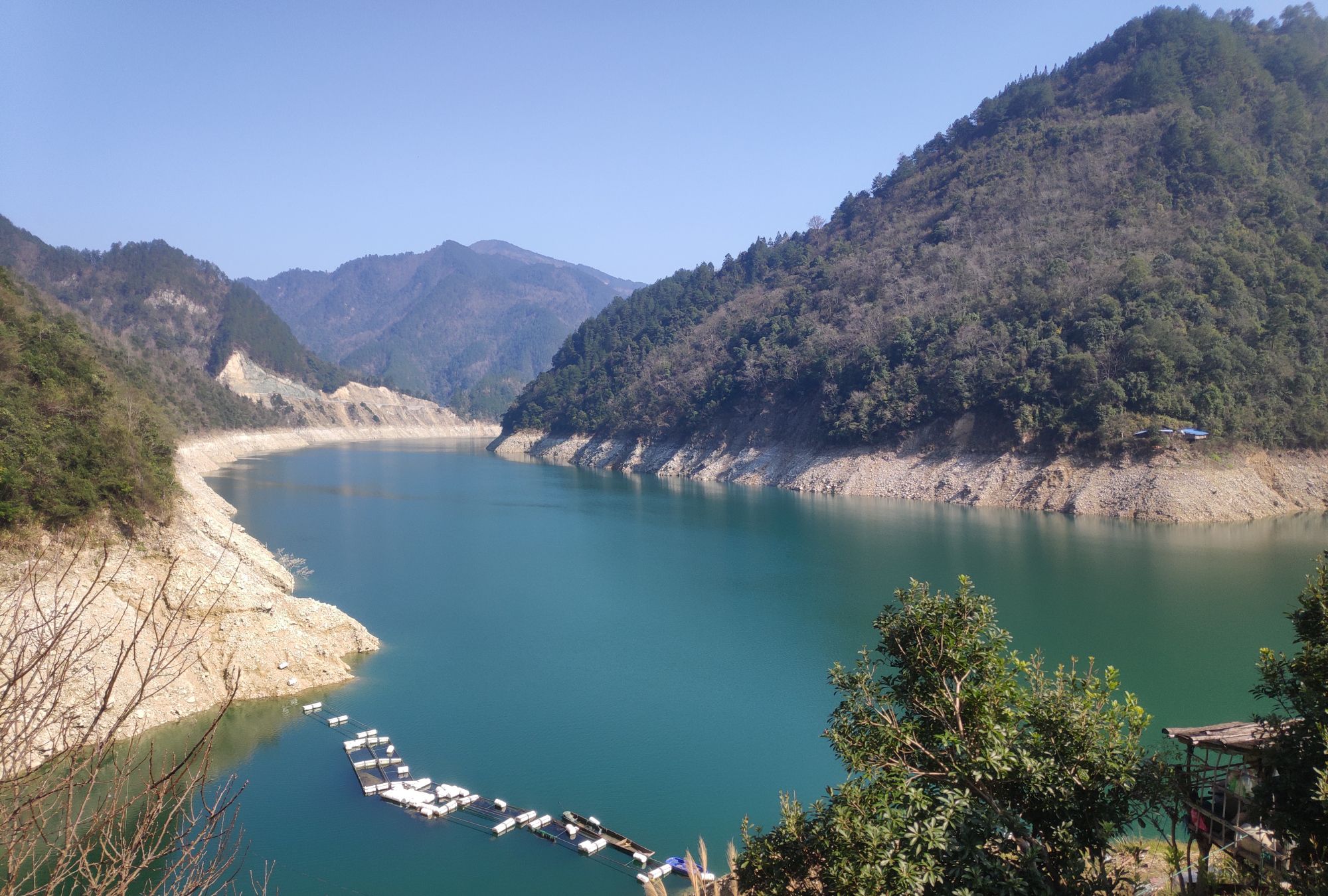 剑河县苗族稻田鲤鱼,曾上""美食节目