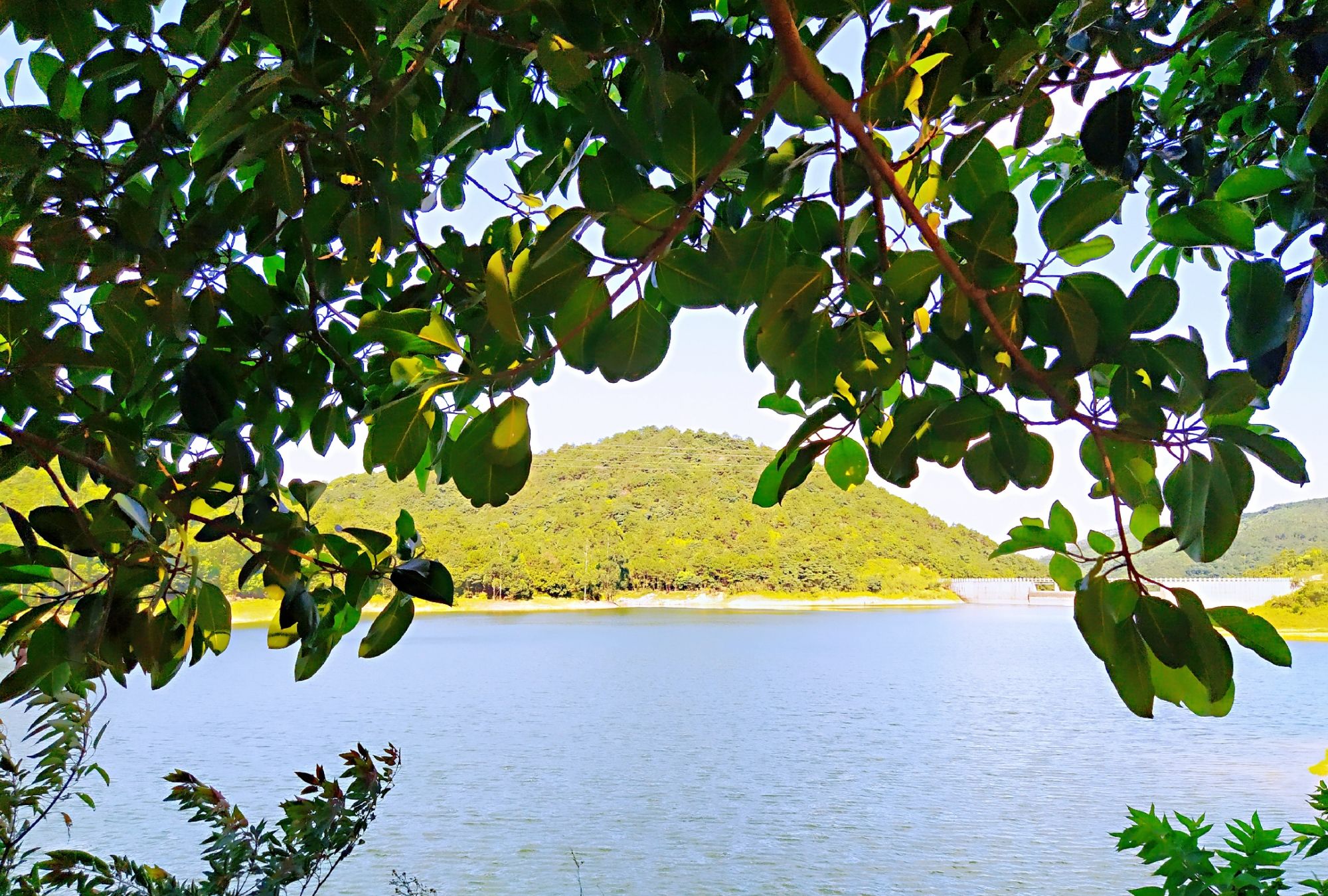 大帽山境:闽南古厝好风光,清新游玩厦门山间美景!_高清图集_新浪网