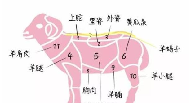 它是羊身上最好吃的肉很多人比较嫌弃摊主来买的都是行家