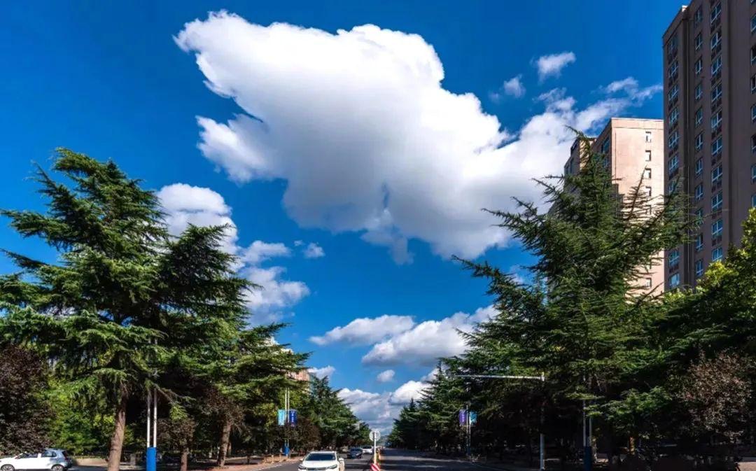 图集河南灵宝秋日盛景美如画