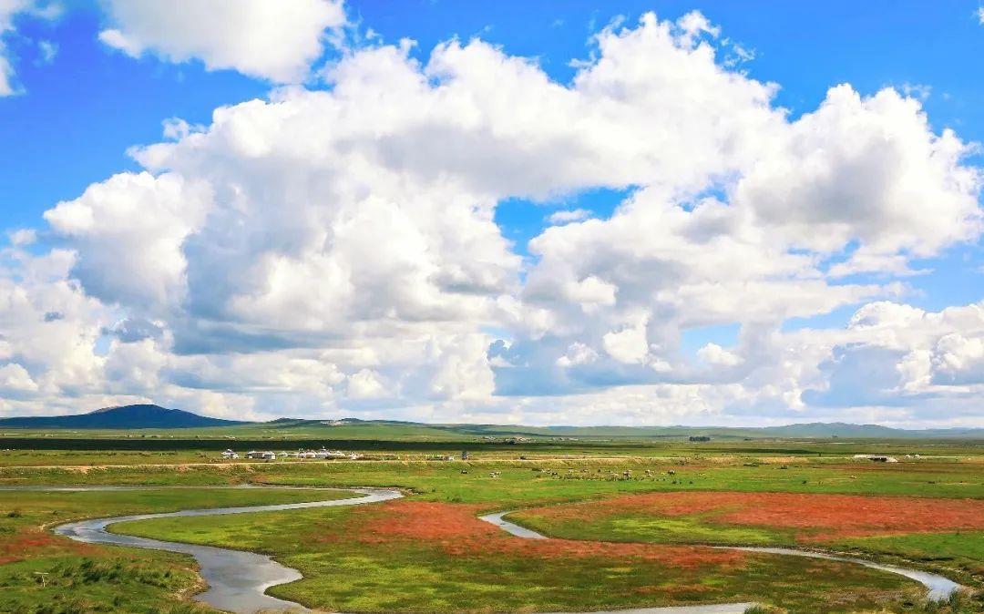 一整天都看不腻的云朵就藏在草原的青天里