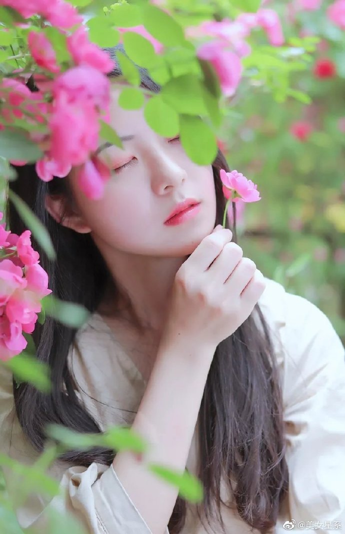 花丛中的美女 花美人更美 花丛中的美女 花美人更美
